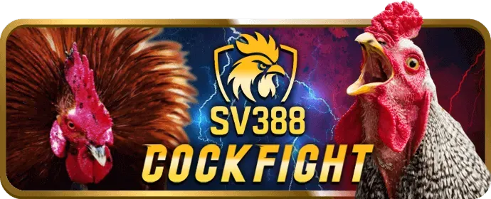 Trò chơi sòng bạc trực tiếp mới tại rg88 Win